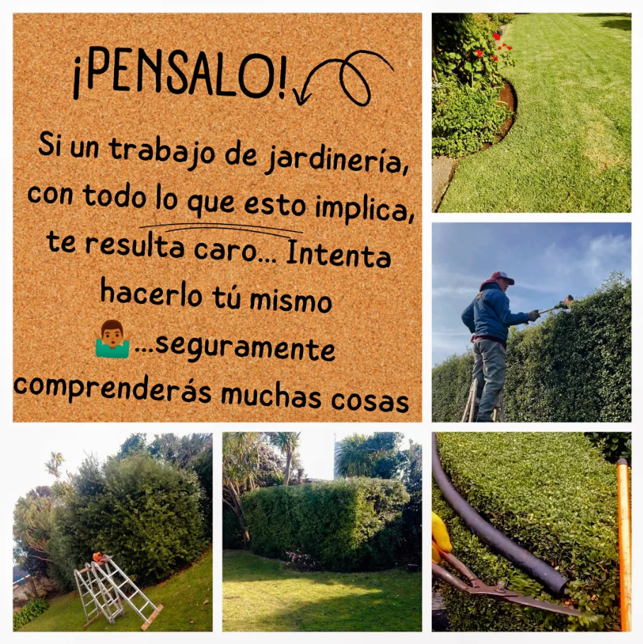 Jardín terminado por Alvarez Jardines